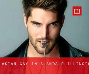 Asian gay in Alandale (Illinois)