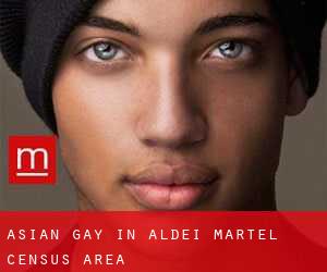 Asian gay in Aldéi-Martel (census area)