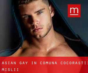 Asian gay in Comuna Cocorãştii Mislii