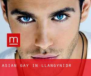 Asian gay in Llangynidr