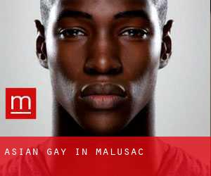 Asian gay in Malusac