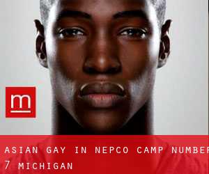 Asian gay in Nepco Camp Number 7 (Michigan)