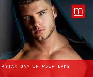Asian gay in Wolf Lake