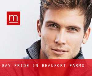 Gay Pride in Beaufort Farms