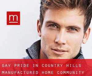 Gay Pride in Country Hills Manufactured Home Community