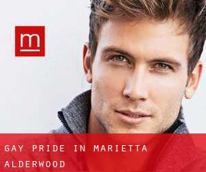 Gay Pride in Marietta-Alderwood