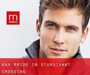 Gay Pride in Sturdivant Crossing