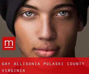 gay Allisonia (Pulaski County, Virginia)