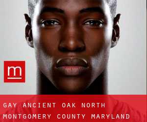 gay Ancient Oak North (Montgomery County, Maryland)