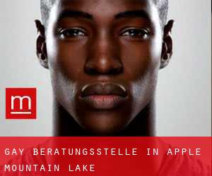 gay Beratungsstelle in Apple Mountain Lake