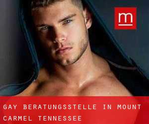 gay Beratungsstelle in Mount Carmel (Tennessee)