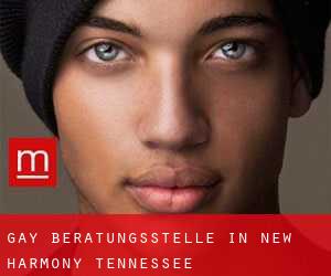 gay Beratungsstelle in New Harmony (Tennessee)