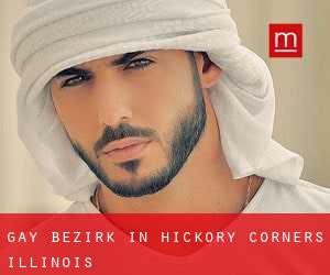 gay Bezirk in Hickory Corners (Illinois)