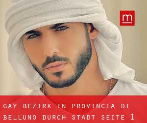 gay Bezirk in Provincia di Belluno durch stadt - Seite 1