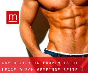 gay Bezirk in Provincia di Lecce durch gemeinde - Seite 1