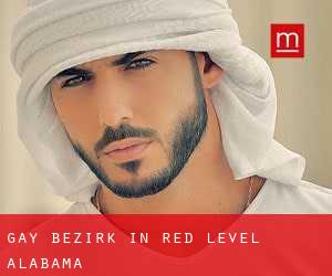 gay Bezirk in Red Level (Alabama)