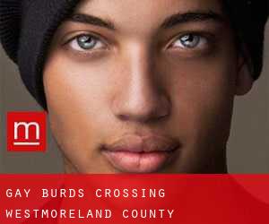 gay Burds Crossing (Westmoreland County, Pennsylvania)