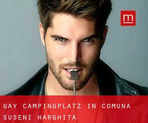 gay Campingplatz in Comuna Suseni (Harghita)