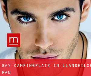 gay Campingplatz in Llandeilor-Fan