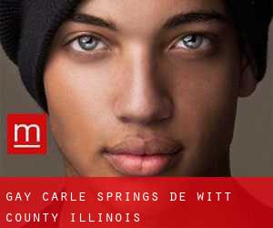 gay Carle Springs (De Witt County, Illinois)