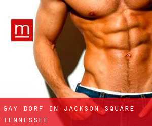 gay Dorf in Jackson Square (Tennessee)