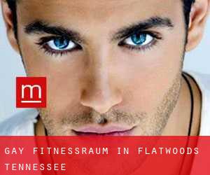 gay Fitnessraum in Flatwoods (Tennessee)