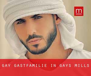 gay Gastfamilie in Gays Mills