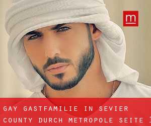gay Gastfamilie in Sevier County durch metropole - Seite 1