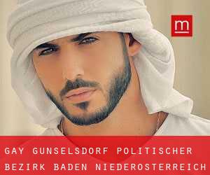 gay Günselsdorf (Politischer Bezirk Baden, Niederösterreich)