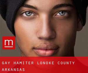 gay Hamiter (Lonoke County, Arkansas)