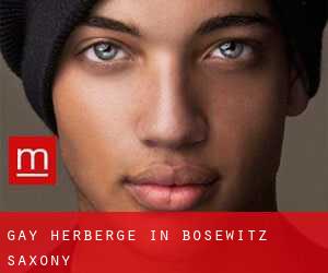 Gay Herberge in Bosewitz (Saxony)