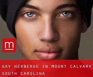 Gay Herberge in Mount Calvary (South Carolina)