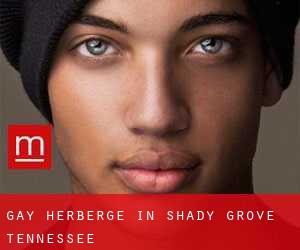 Gay Herberge in Shady Grove (Tennessee)