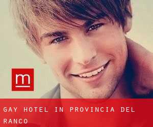 Gay Hotel in Provincia del Ranco