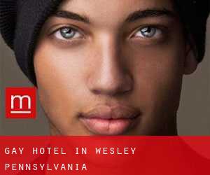 Gay Hotel in Wesley (Pennsylvania)