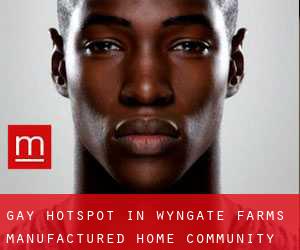 gay Hotspot in Wyngate Farms Manufactured Home Community