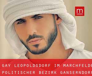 gay Leopoldsdorf im Marchfelde (Politischer Bezirk Gänserndorf, Niederösterreich)