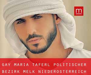 gay Maria Taferl (Politischer Bezirk Melk, Niederösterreich)
