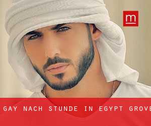 gay Nach-Stunde in Egypt Grove