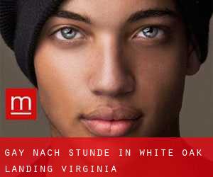 gay Nach-Stunde in White Oak Landing (Virginia)