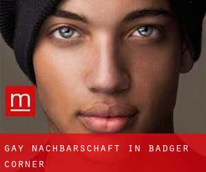 gay Nachbarschaft in Badger Corner