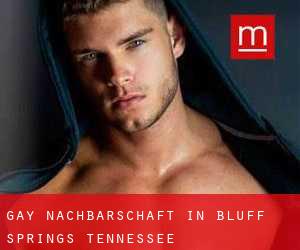 gay Nachbarschaft in Bluff Springs (Tennessee)