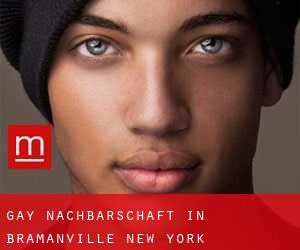 gay Nachbarschaft in Bramanville (New York)