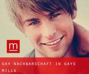 gay Nachbarschaft in Gays Mills