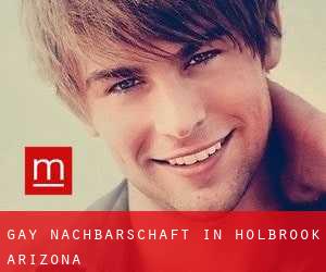 gay Nachbarschaft in Holbrook (Arizona)