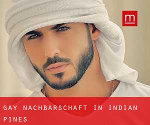 gay Nachbarschaft in Indian Pines