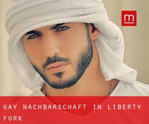 gay Nachbarschaft in Liberty Fork