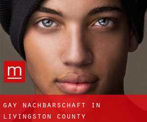 gay Nachbarschaft in Livingston County