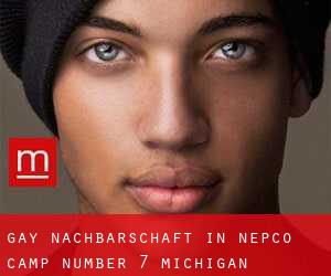 gay Nachbarschaft in Nepco Camp Number 7 (Michigan)