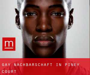 gay Nachbarschaft in Piney Court